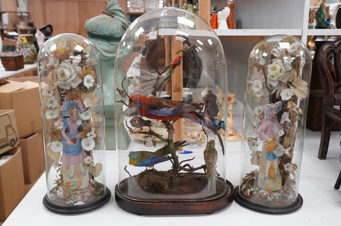 A taxidermy display of parrots, under a glass dome and a pair of cased bisque porcelain figures, largest 53cm high. Condition - fair, largest dome not original